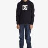 DC SHOES Dc Star - Hoodie - Black -Algemene Winkel Voor Kindermode 09528c878932463cbbacab417e3a7bfd