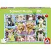 Schmidt 56162 Jigsaw 200 Pcs - Puzzel - Multi Coloured -Algemene Winkel Voor Kindermode 2a246192d0ad43e8aa9c217942f62684